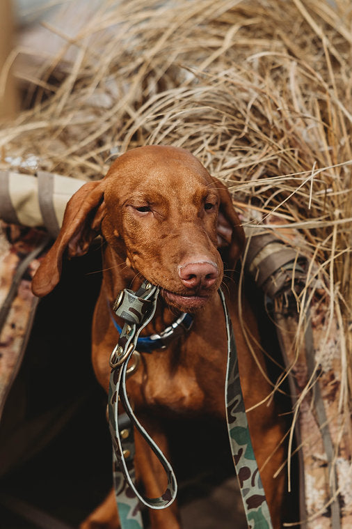 Trailhound Camo Dog Leash